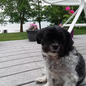 Meet your Posher, Roberta